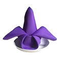 Image 13