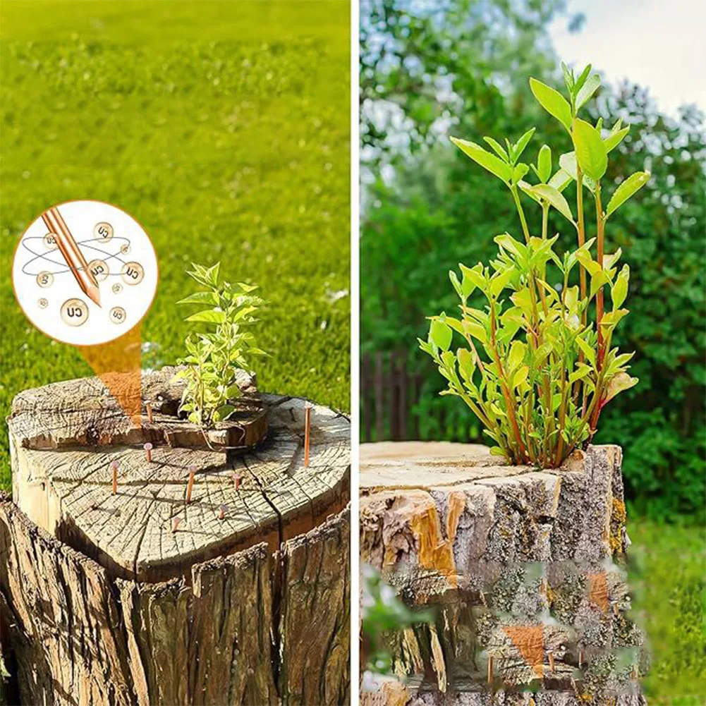 65/75mm Copper Nails For Killing Trees Stump Root Tree Stump Killer Removal Spikes Hardware Root Enduring