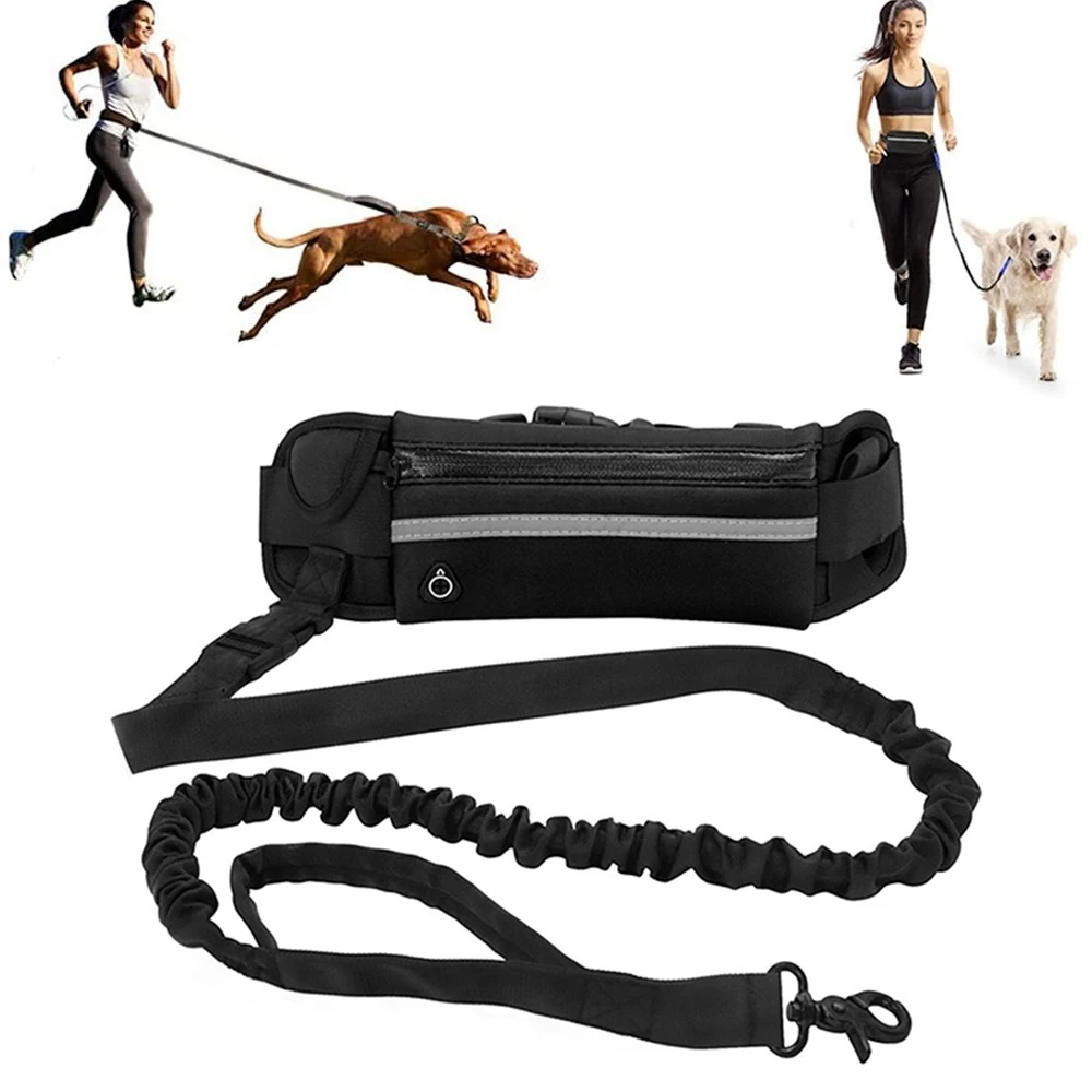 KOTARBAU Laisse Élastique Pour Chien Avec Ceinture De Sécurité Auto - Réglable 55-102 Cm - Sécurité Routière