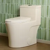 Elongated One Piece Toilet Bisque ADA Toilet 17.3" with Comfortable Chair Height Seat Modern Toilet for Bathroom 1