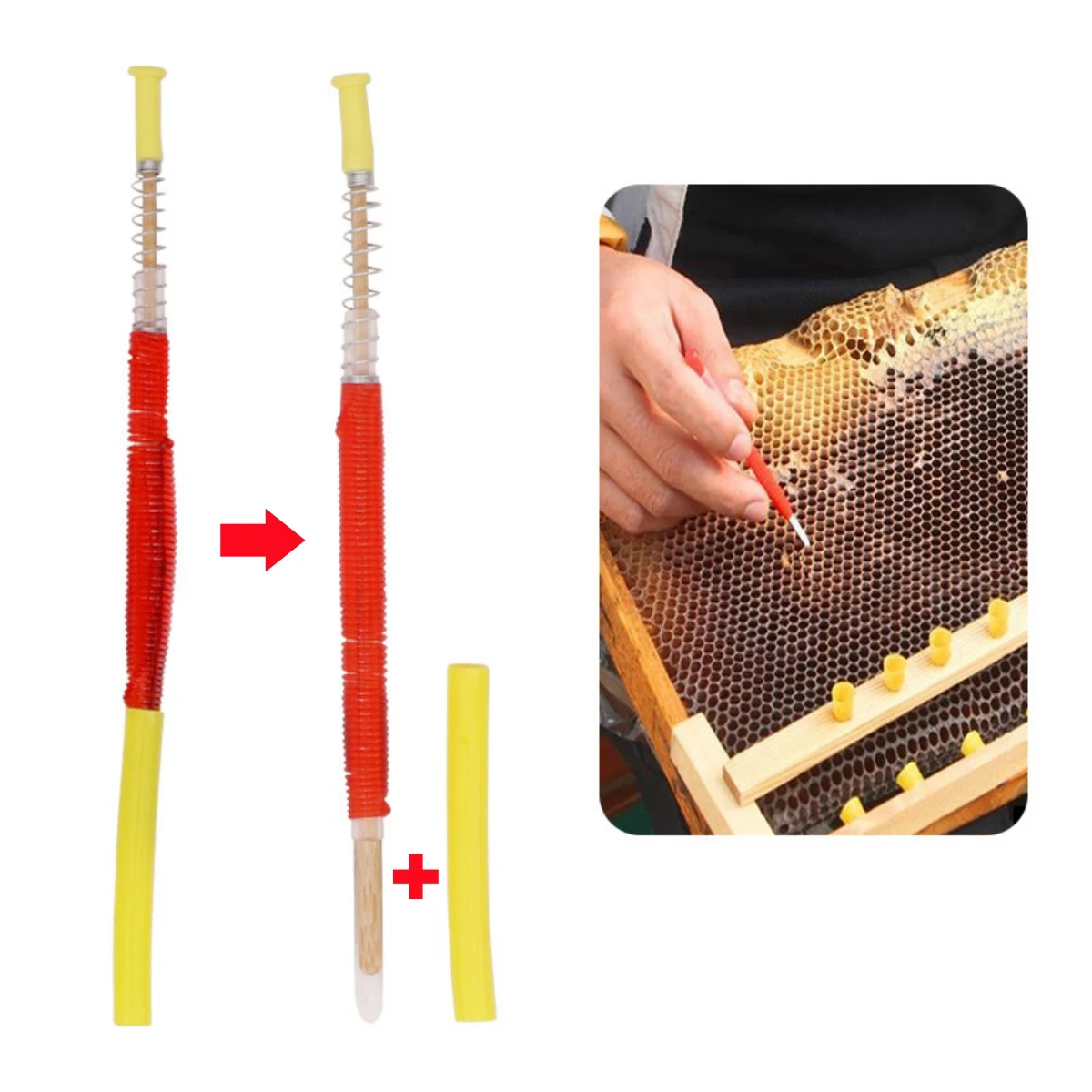 Insect Transfer Needle Push-Type Bamboo Core Plastic Queen Bee Larva Apiculture Retractable Grafting Pen Beekeeping Tool 10Pcs
