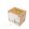 Automated Panda Piggy Bank, Cat and Dog Steal Coin Bank, Money Saving Box, Electronic Money Boxes, Kids Gift, Home Decor, Cute 4