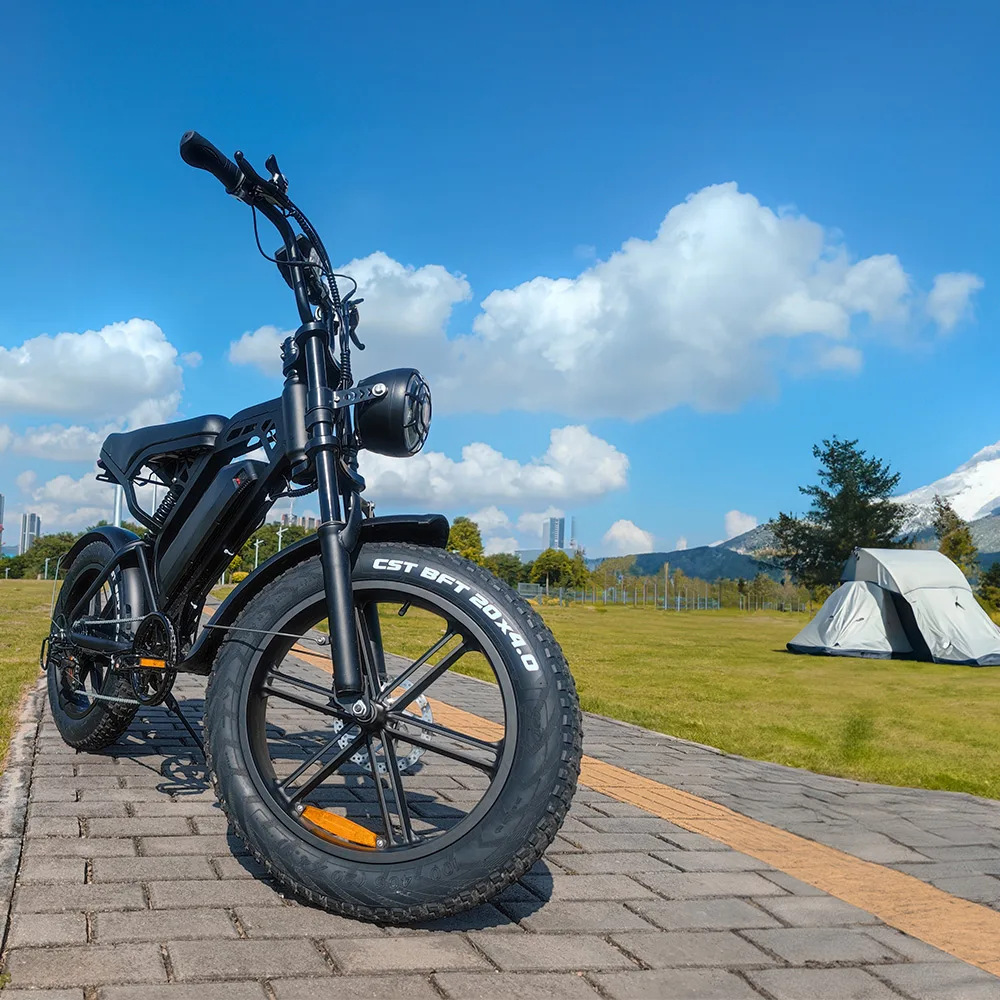 Deren V20 20 Inch Fat Tire Fatbike 750w Ebike Bicycle Electric Bike Electric City Bike For Sale