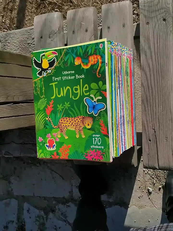 5 Books Usborne Sticker Book Children English Picture