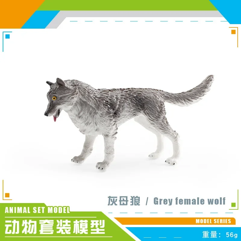 Wolf5