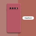 Hawthorn