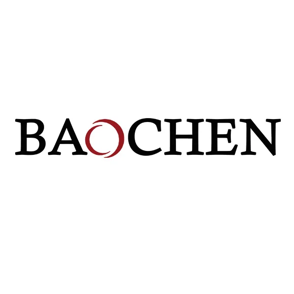 BaoChen Auto Parts Store