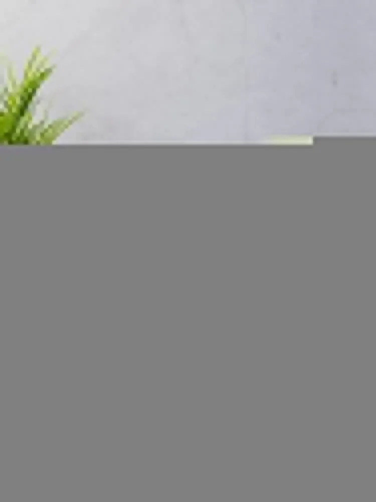 �ֵ� ��ó�彼 2019 ���ο� ���, ���� ��Ʈ�� ��, ���� ħ��, ���� ���