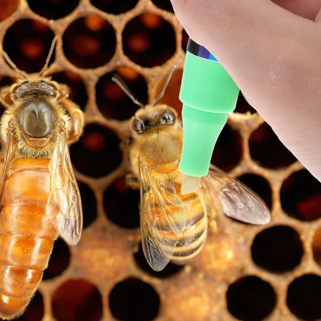 8 Dcs Metallic Sharpies Jelölő Queen Méh Lakosztály Szerszámok Toll Set Méhészet - Image 5