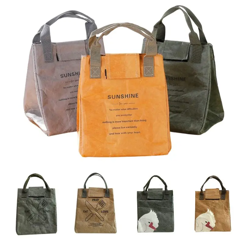 

Reusable Insulated Paper Handbag, with Lunch Box for Women Men, Insulated Thermal or Freezable Bag for Work Picnic or Travel