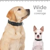 6 Colors Reflective Pet Dog Collar Breathable Nylon Dog Collars Necklace Adjustable Puppy Collars for Small Medium Dogs Pug 5