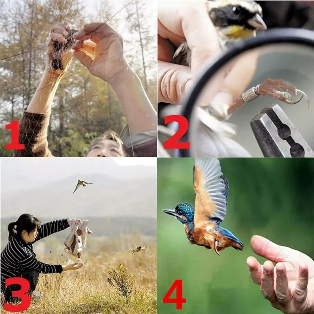 New 6-30m Bird Net Bird-Proof Traps Crops Nylon Net Plastic Protective Pond Fishing Net Pest Control Tool