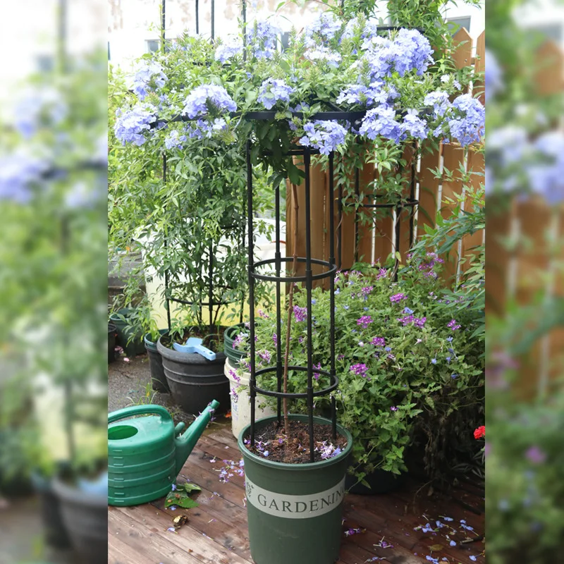 Horticultural Umbrella Frame Climbing Rose Climbing Vine Stand Plant Stand