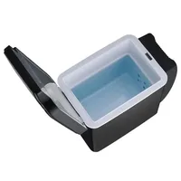 Réfrigérateur électrique pour voiture, 6L, 12V, mini réfrigérateur, congélateur, véhicule, chauffage indispensable, glacière, formateur électronique 2