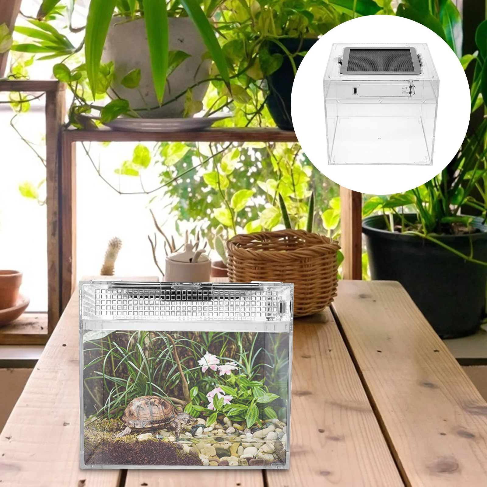 

1 шт., прозрачная детская коробка для животных