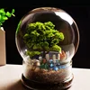 Split type Spherical Micro Landscape Vase Containers Desktop Glass Vase Green Moss Bansai Landscape Glass Terrarium Home Decor 1