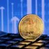 12PCS Bitcoin Coin Gold And Silver Metal 40MM Treasure Hunt Game For Adults Kids Play Money Commemorative Gifts Art Collections 2
