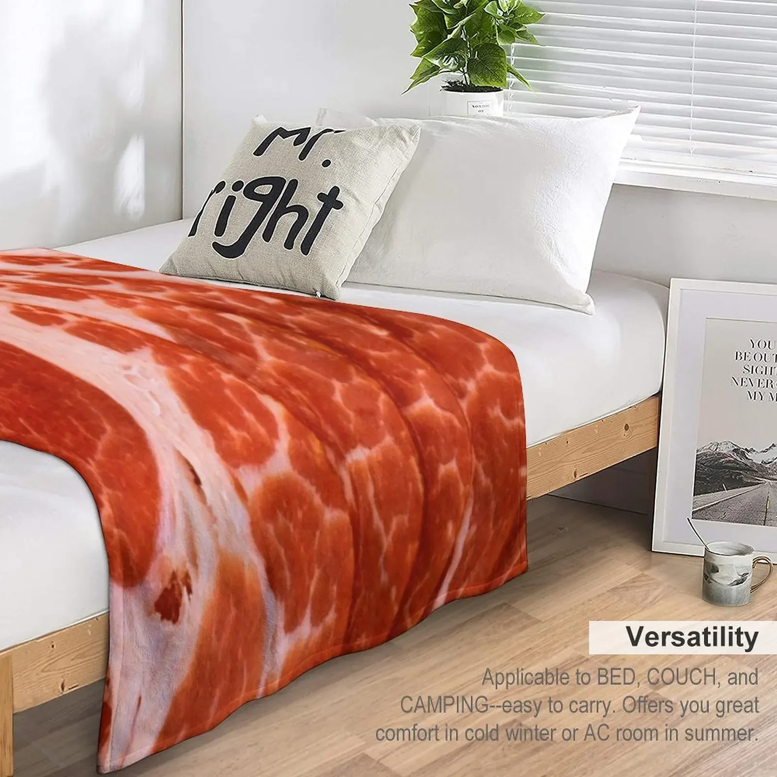  BACON  ,   ħ