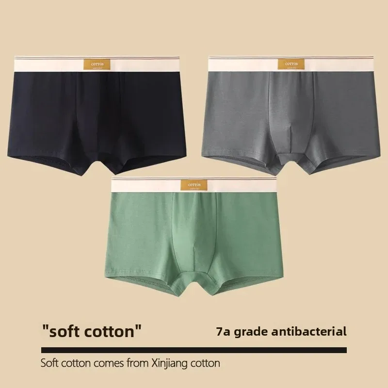 Cloth label [pure cotton -3 pack] black + dark gray + Bean Green