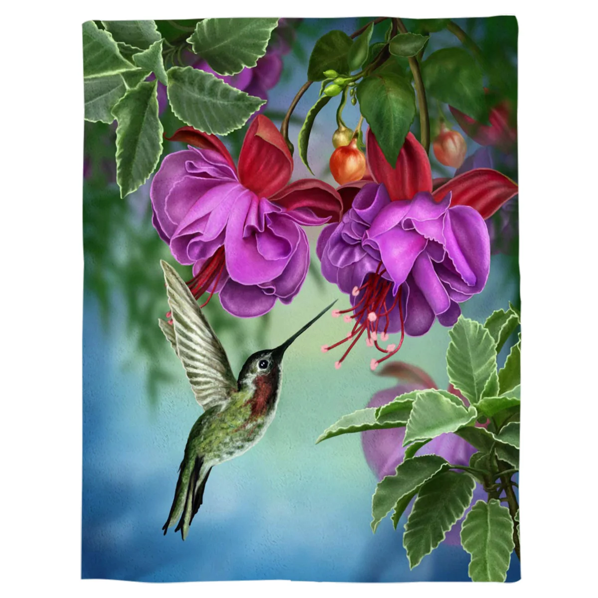   ö ø ħ , ħ뺸 Ŀ, ε巴   ƴ  ,  