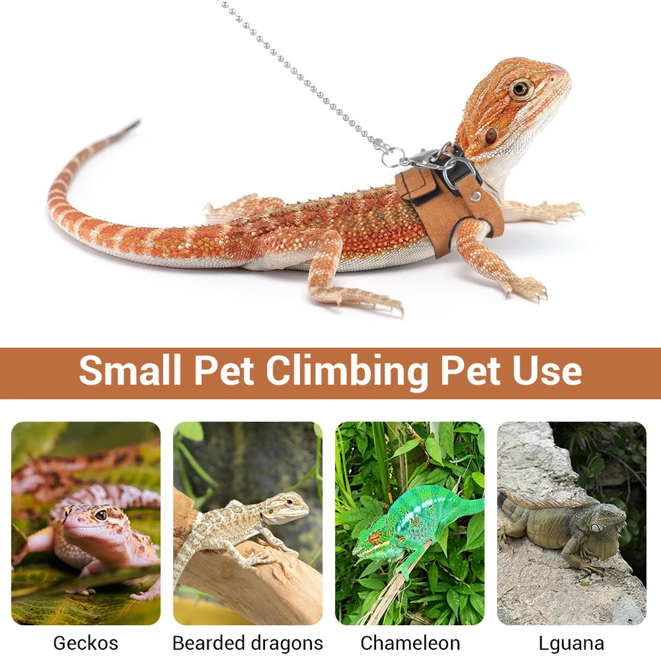 Flyan 1 Ensemble De Laisse De Lézard Réglable, 3 Tailles Pour Reptile