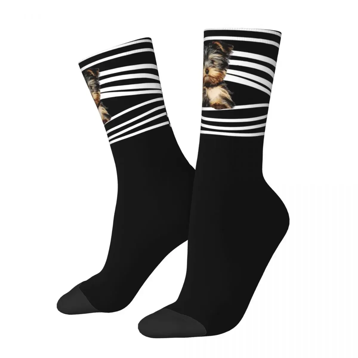 

New Male Men Socks Harajuku Yorkshire Terrier Sock Polyester Yorkie Dog Puppy Sport Women's Novelty Street Style Socks Winter