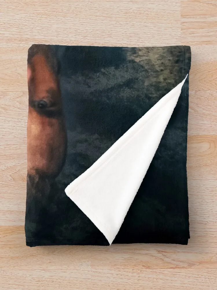 TheLastKingdom-������ ��� ���� ���, ���� ��� ����