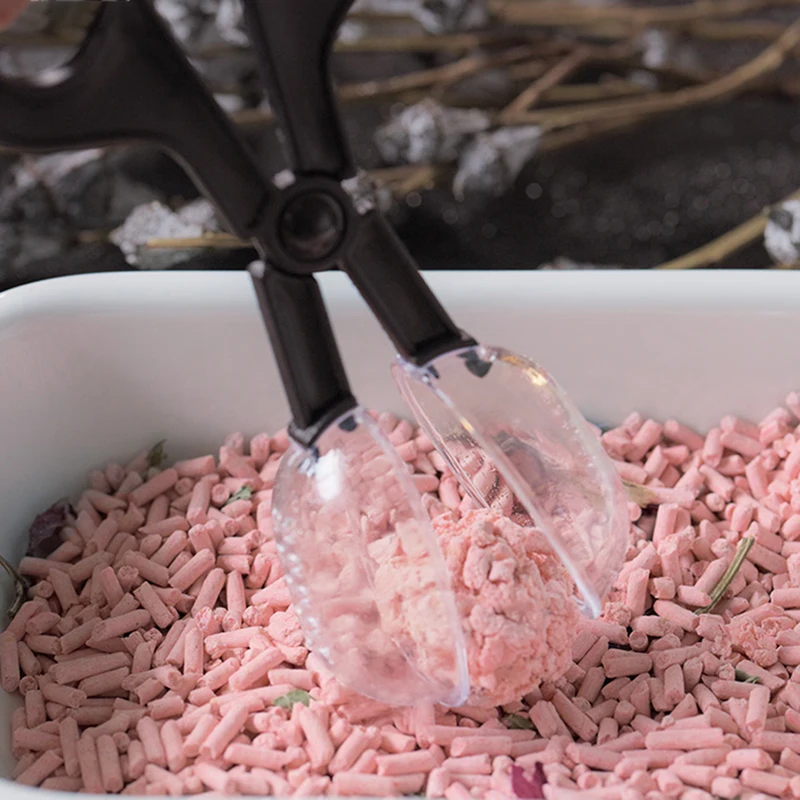 What Does Hamster Poop Look Like corona.dothome.co.kr