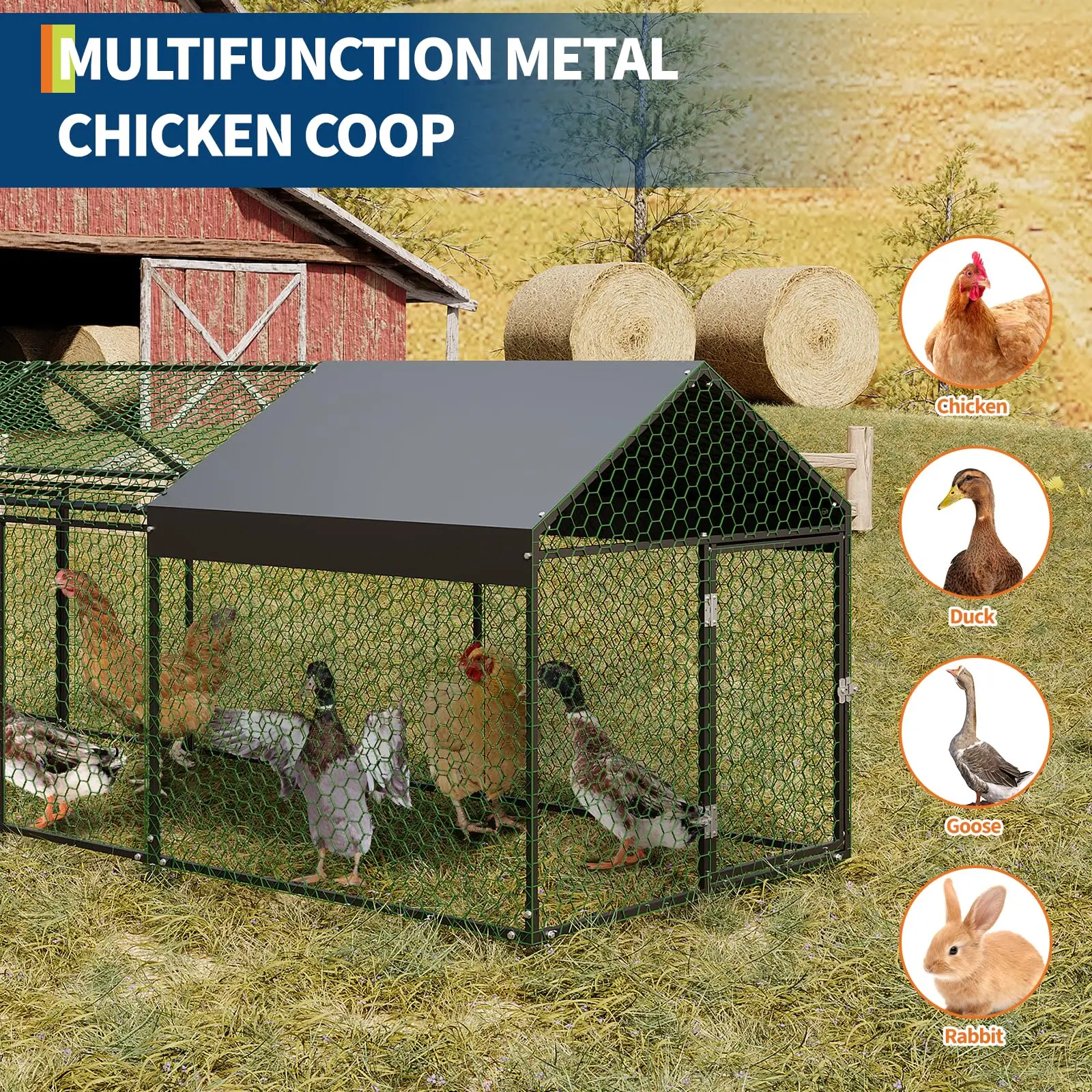 Heavy Duty Walk-in Metal Chicken Coop 4