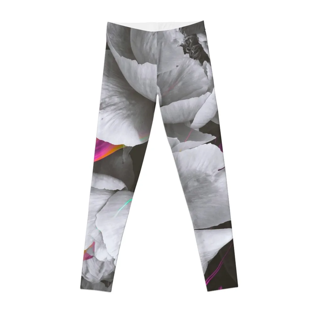 

CORNERSTONE III Leggings workout shorts for girls Womens Leggings