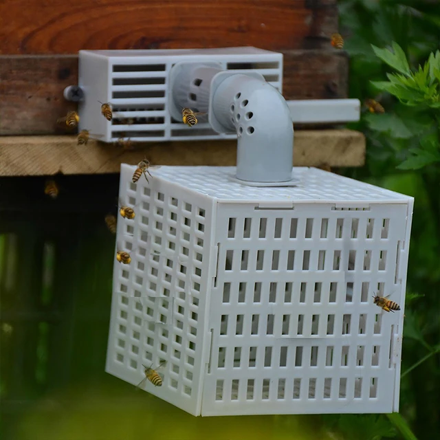 Automatikus Méh Elválasztó Megakadályozza A Méhek Menekülését - Image 5