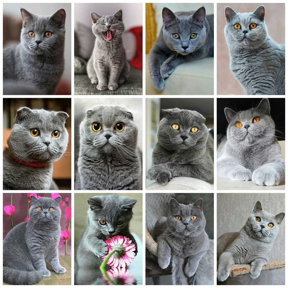 HUACAN-ダイヤモンドペインティングキット,フルスクエア