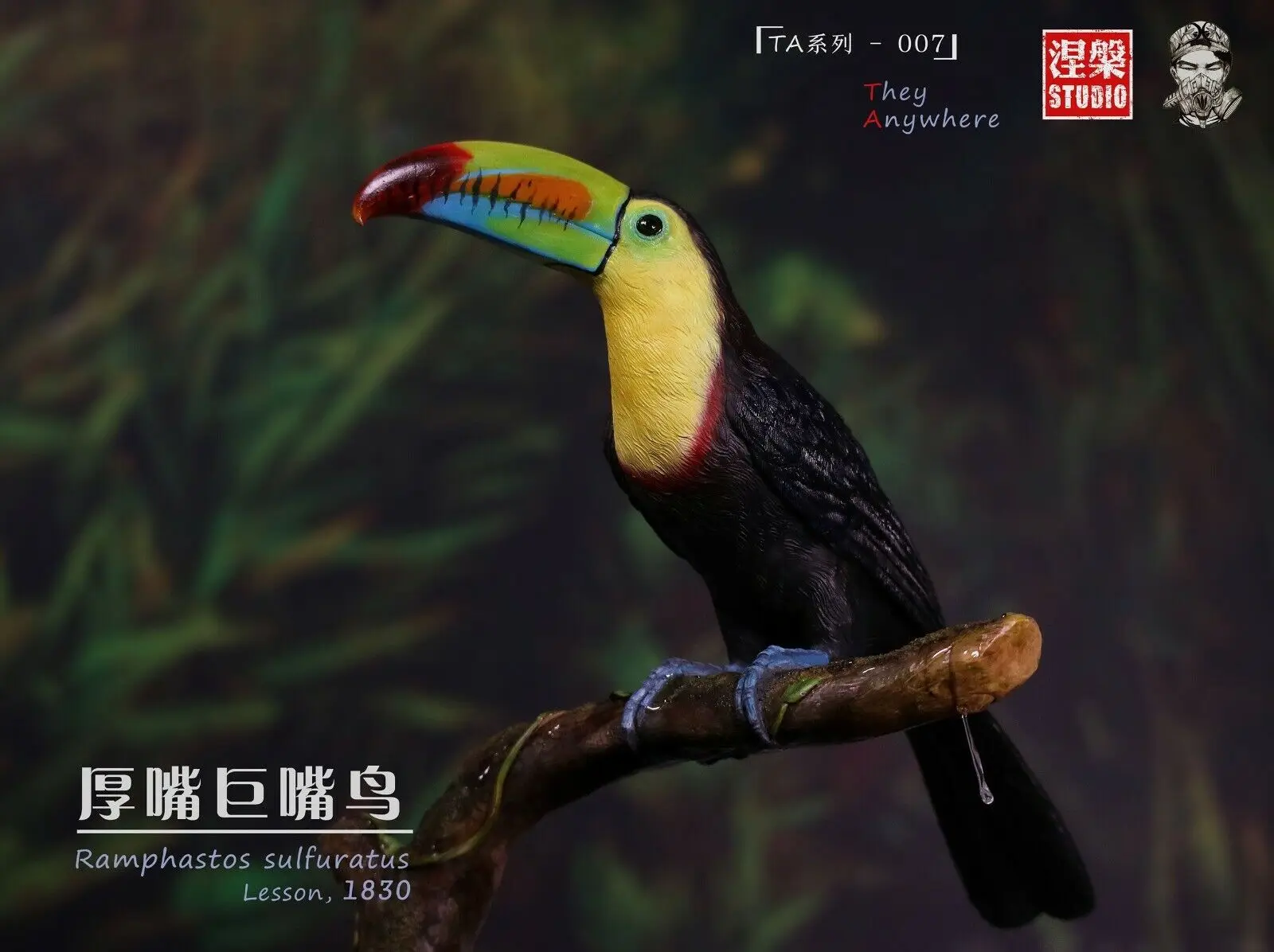 

Ramphastos sulfuratus Statue Kell-billed Toucan Ainbow-billed Bird Animal Model Collector Decoration TA Series 007 Painted Gift