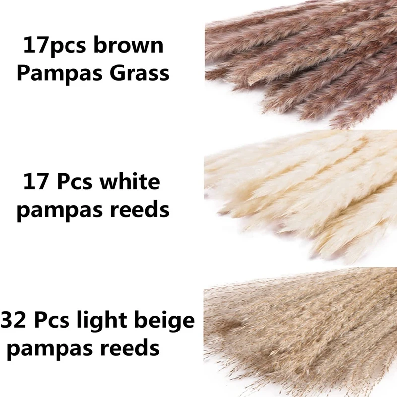 Pampas Grass Swinging lupon.gov.ph