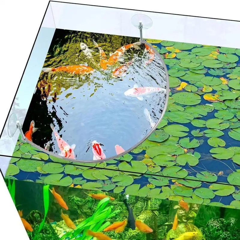 Floating Plant Corral Fish Feeding Ring Separates & Protects Floating Plants Feeding Ring Improve Water Quality Aquarium Filter