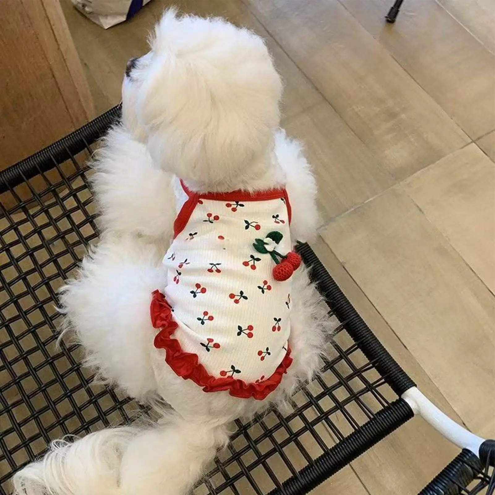 소녀용 강아지 옷 부드럽고 귀여운 조절 가능한 봄 통기성 의상 추수감사절 생일 파티 홈룸용 강아지 의류 액세서리