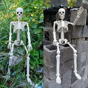 Halloween Skeleton Decoration Prop 1