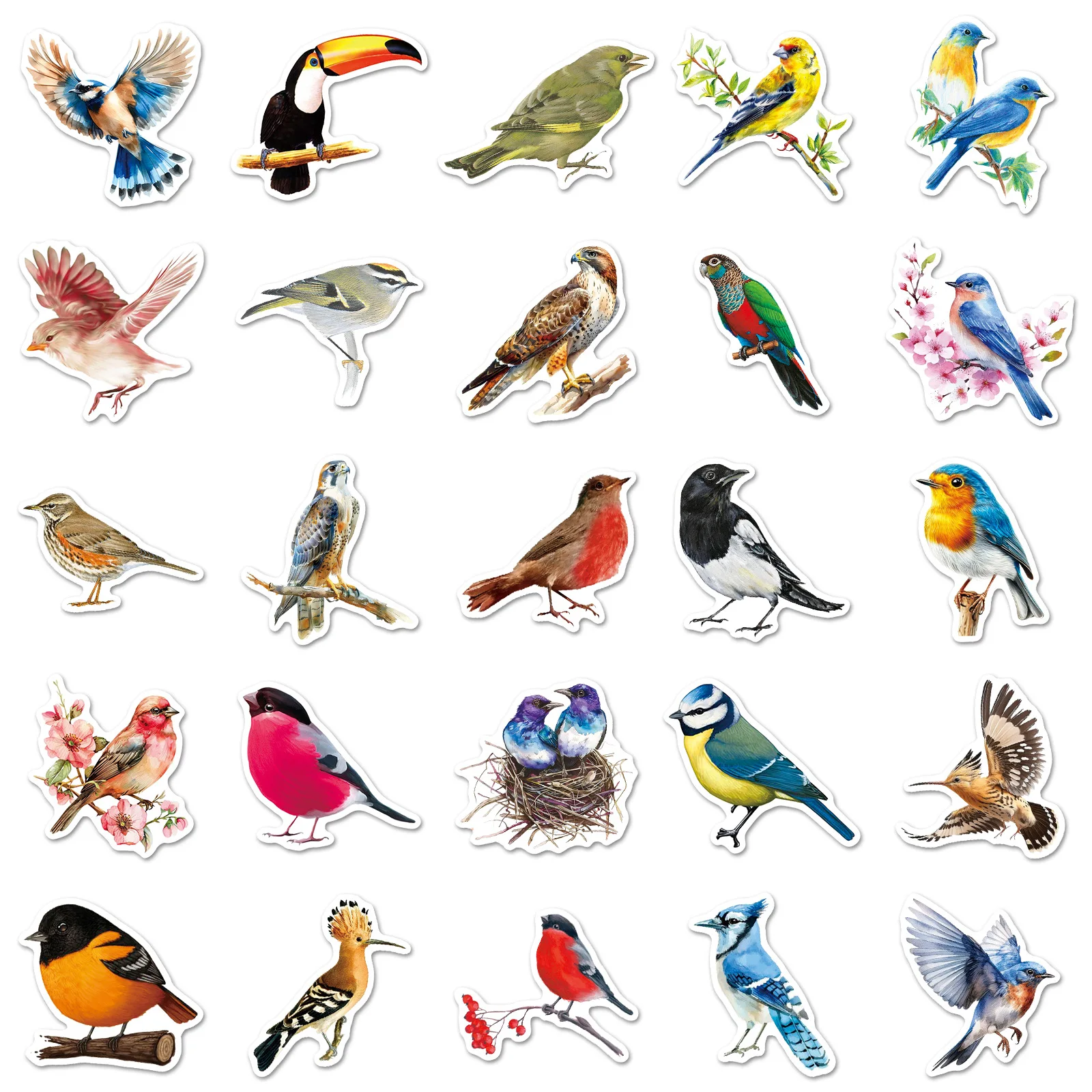 50 PCS 다채로운 새 동물 학습 방수 스티커 공예 활동 전화 케이스 스크랩북 노트북 DIY 장식