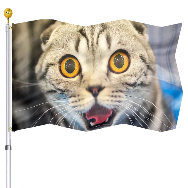 Cartoon Cat Flag Yellow Angry Face Emoji Flags Double Stitched with Brass  Grommets Dorm Indoor Outdoor Home Decor for Women Men - AliExpress