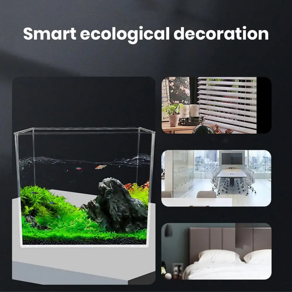 Fish Tank Smooth Edges Small Aquarium High Transparency Desktop Aquatic Landscape Tank For Home Decoration