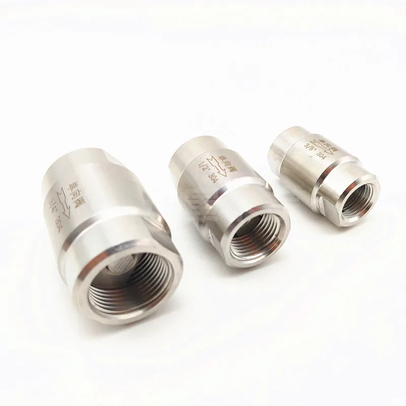 

304 Stainless Steel DN6 DN8 DN10 DN15 High Pressure Check Valves Gas Water One-Way Valve