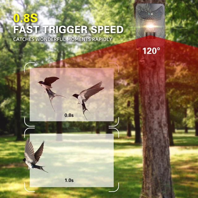Outdoor Night Vision Hunting Scouting Camera - Image 4