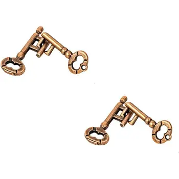 2 Pair Sets o Metal Brain Teaser Puzzle Keys, Assembly & Disenment Puzzles, IQ Logical Games, idget StrGit or Adults 1