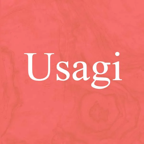Usagi Store