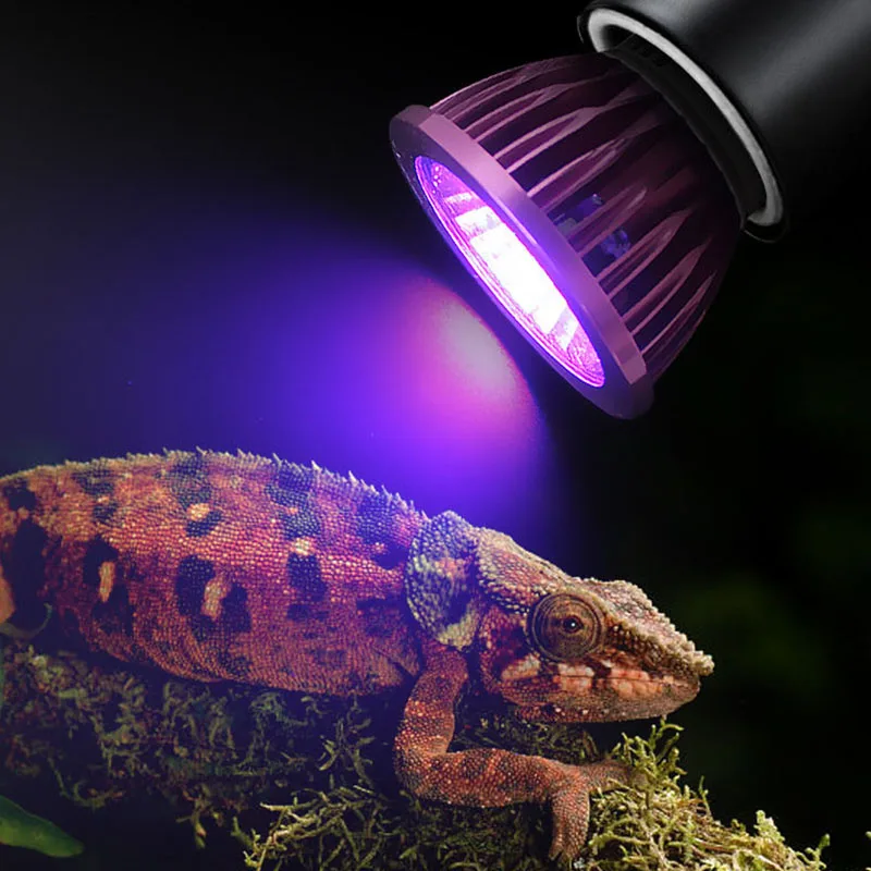 110/220V Reptile Night Lamp Imitation Moonlight Night Sleep Lighting Lamp Turtle Lizard Snake Reptile Amphibian Pets Accessories 2