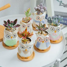 

Colorful Owl Fleshy Ceramic Flowerpot Japanese and Korean Cartoon Animal Flowerpot Creative Home Gardening 6-Piece Set with Tray
