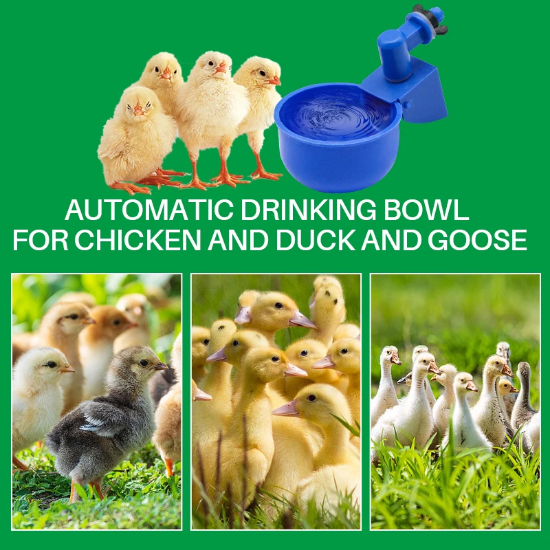 Hanging Automatic Watering Cups for Poultry Coops — 20 Pcs