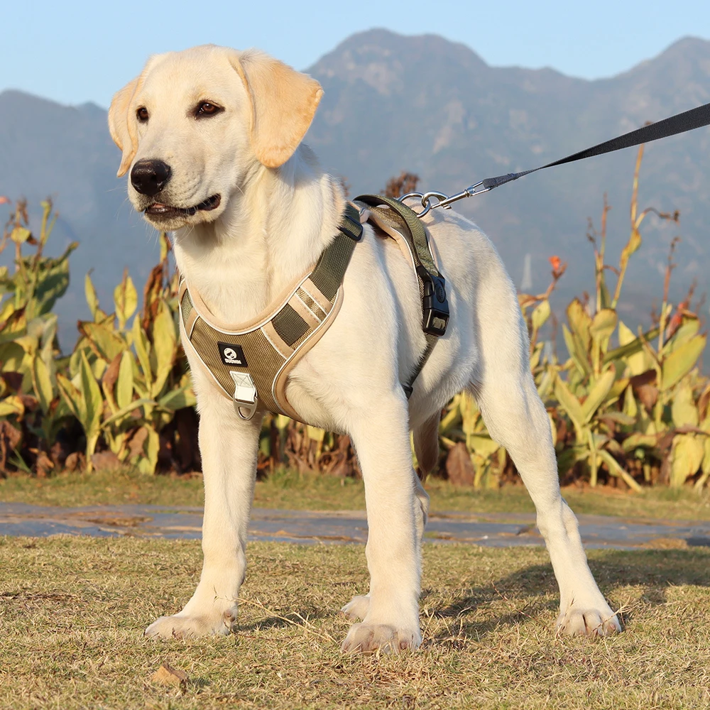 Dog Harness Image 18