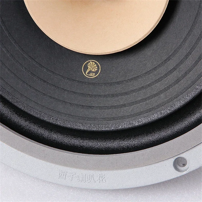LII AUDIO HIFI FAST-10 Full Frequency Speaker 10 Inch 8ohm/40-60W Unit (1PCS) 5