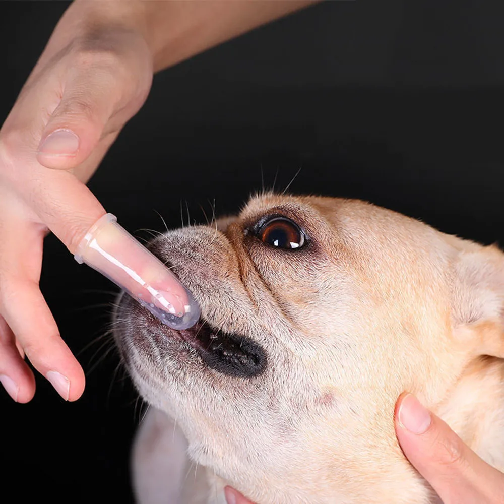 Pet Finger Toothbrush 3